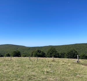 Boucle autour de Vézelay par Asquins - Cyril - 4