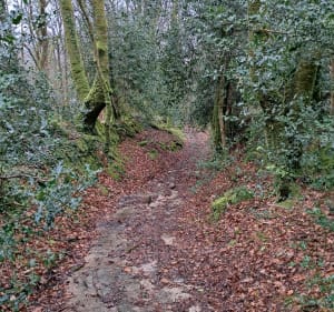 Allée couverte de Kéroual Lanvénégen - Lanvénégen - 3