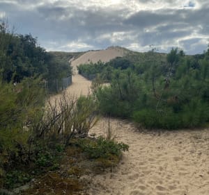 La Terrière et Pointe du Grouin du Cou - La Tranche-sur-Mer - 4