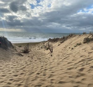 La Terrière et Pointe du Grouin du Cou - La Tranche-sur-Mer - 5