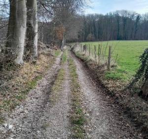 Promenade autour de Barentin par les Marivaux - Barentin - 3