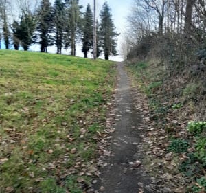 Promenade autour de Barentin par les Marivaux - Barentin - 4