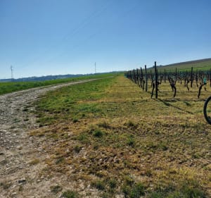 Parcours Nord-Ouest d'Angoulême - Philippe - 3