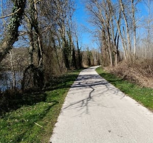 Voie Verte le long de l'Yonne et panorama sur Joigny - Olivier - 4