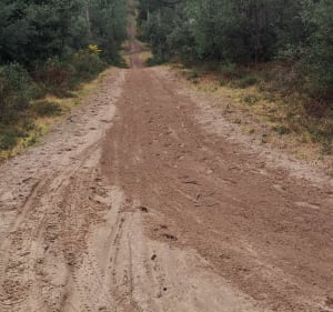 Marche au Gardour et forêt de la Coubre - La Tremblade - 4