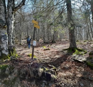 Boucle de Super Besse et le lac Pavin - Besse-et-Saint-Anastaise - 5