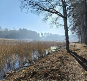 Cztery stawy w dolinie Dłutówki o poranku - Łaziska - 5