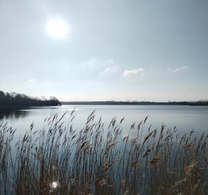 Tour de la Mutche - Morhange - 4