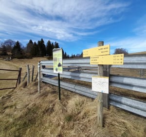 Tour du plateau Tassivière - Besse-et-Saint-Anastaise - 4