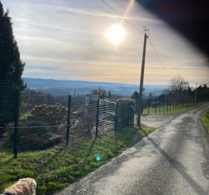 Petite promenade dans les hauteurs de Juillac, par le Puytinaud - Juillac - 4