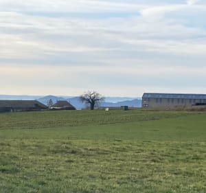 Petite promenade dans les hauteurs de Juillac, par le Puytinaud - Juillac - 5