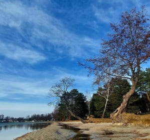 Jezioro Białe, Okuninka - Okuninka - 5