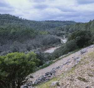 Rando à partir de la Bergerie Bertin Taradeau - Taradeau - 5