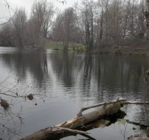 Entre Loire et maraîchage sous le château de Bouthéon - Veauche - 3