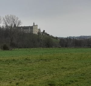 Entre Loire et maraîchage sous le château de Bouthéon - Veauche - 4