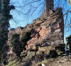 Obersteinbach et Grand Wasigenstein - Obersteinbach - 4