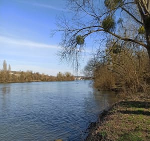 Boucle de Veneux, Champagne, St-Mammmès et Moret - Moret-Loing-et-Orvanne - 4