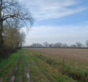 Une partie du Circuit des Templiers, par la Richerie - Saint-Hilaire-de-Chaléons - 4
