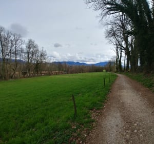 Etangs de Crosagny depuis le plan d'eau de Rumilly - Rumilly - 4
