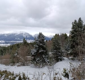 Randonnée de Font-Romeu, et Col du Calvaire - Font-Romeu-Odeillo-Via - 4