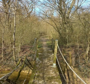 Sentier du Nacey, Bois des Charmeux, depuis Soissons-sur-Nacey - Soissons-sur-Nacey - 5