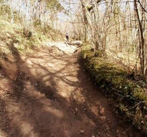 Tour du Puy Gramont depuis Teilhède - Teilhède - 3
