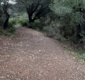 Jolie rando, Janas, par St-Rosalie - Six-Fours-les-Plages - 3