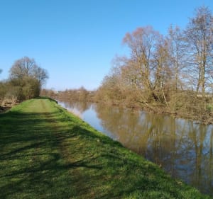 Les chemins de halage de Pont sur Sambre, Bachant et Berlaim - Franck - 3