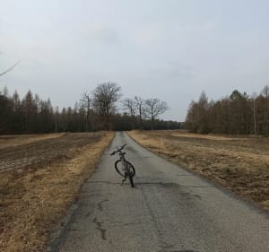Pętla rowerowa lasy rudzkie - Rudy - 3