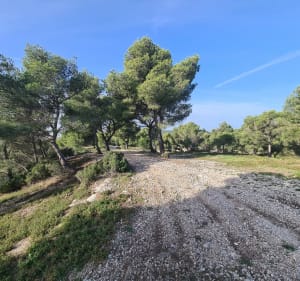 Plateau de l'Estaque - Martigues - 3
