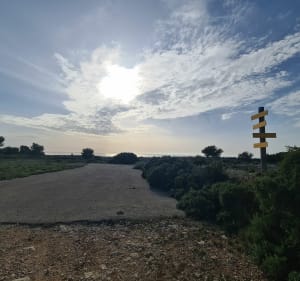 Plateau de l'Estaque - Martigues - 4