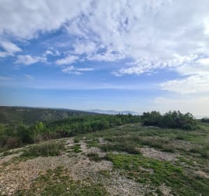 Plateau de l'Estaque - Martigues - 5