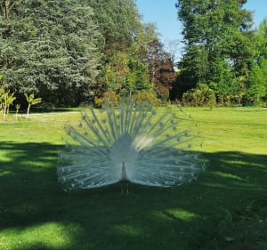 Petit tour de Tarbes et le long de l'Adour - Tarbes - 4