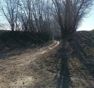 Łąki i pola i Goszyce - Goszyce - 5