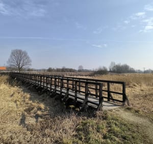 Do zobaczenia w Żmigrodzie - Dariusz - 5