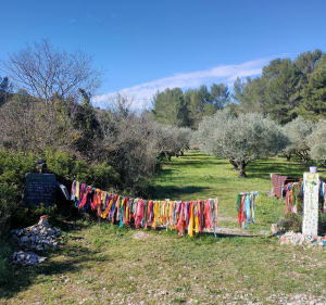 Parcours Sportif de Pignan et Capitelle du Pioch des Montres - Stephanie - 3