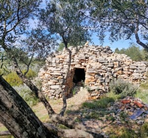 Parcours Sportif de Pignan et Capitelle du Pioch des Montres - Stephanie - 4