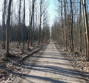 Rowerowa wycieczka do Zamku Bierzgłowskiego - Bydgoszcz - 3