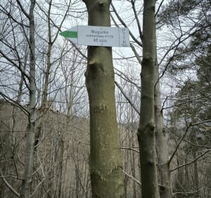 Czupel, zielonym szlakiem z parkingu przy ulicy Leśnej. - Bielsko-Biała - 5