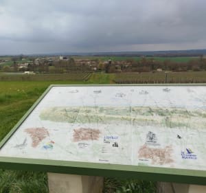 Hauteur de Léoville, par le Moulin Neuf - Léoville - 3