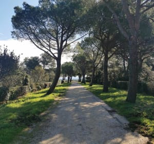 Randonnée autour du golf de Vaquerolles et Puech du Buis - Nîmes - 3
