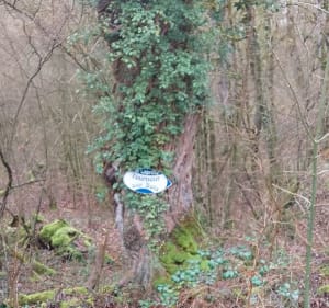 Sentier des écoles de Saint-Félix-de-Sorgues, par Bourmoul - Saint-Félix-de-Sorgues - 5