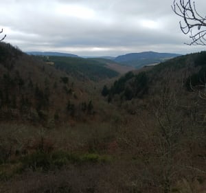 En remontant un Rieucros - Chastel-Nouvel - 4