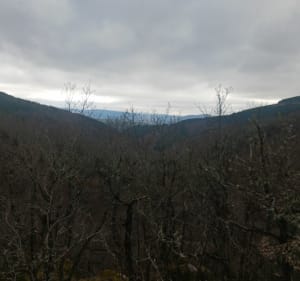 En remontant un Rieucros - Chastel-Nouvel - 5