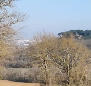 Tour de Vigoulet par la confluence - Vigoulet-Auzil - 4