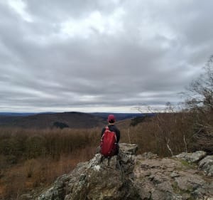 Des Ardennes: Randonnée au départ de Monthermé - Monthermé - 3