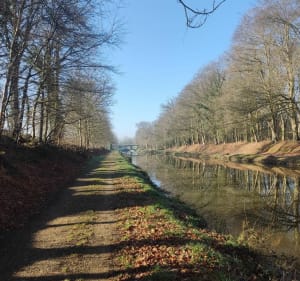 Chemin de Halage - Saint Domineuc - Saint-Domineuc - 3