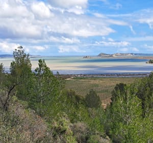 Peyriac de Mer, boucle entre étangs et réserve africaine - Peyriac-de-Mer - 3
