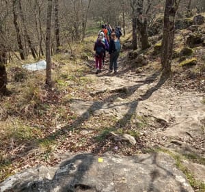 Escapade entre Saint-Vallier-de-Thiey et Cabris - Saint-Vallier-de-Thiey - 4