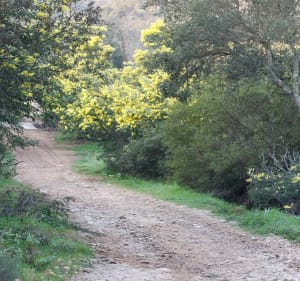 Boucle dans le massif de Roquebrune-sur-Argens - Roquebrune-sur-Argens - 3
